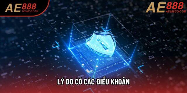 Lý do có các điều khoản Lý do có các điều khoản